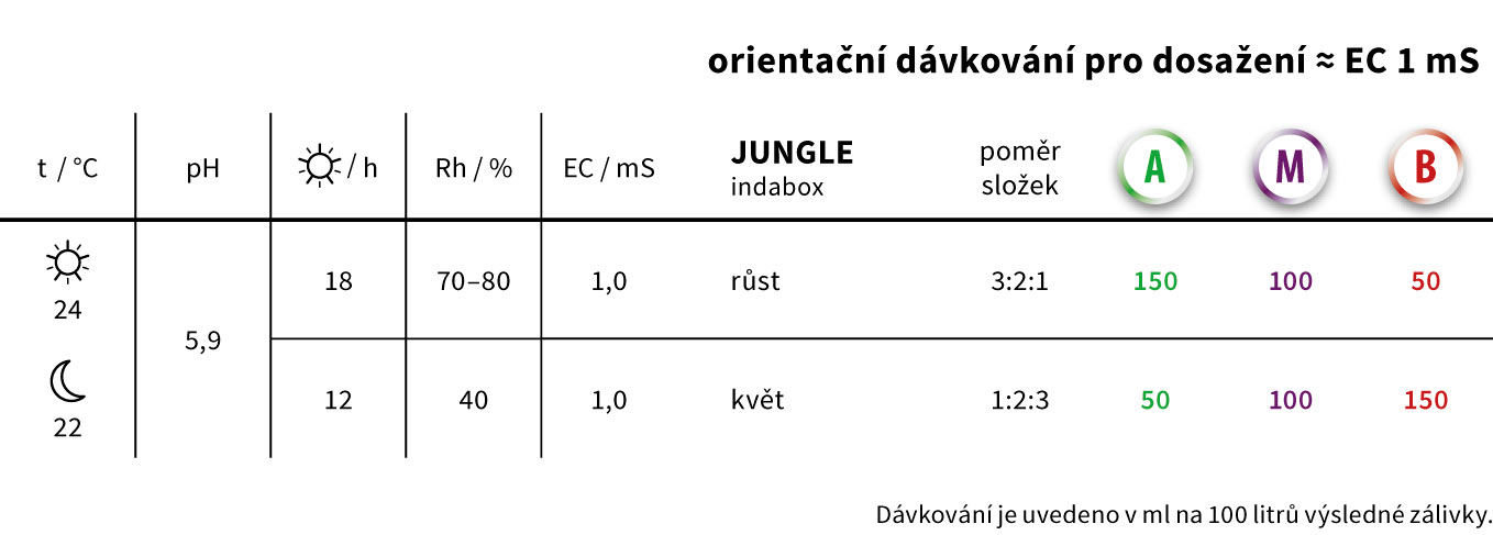 dosage_amb_II